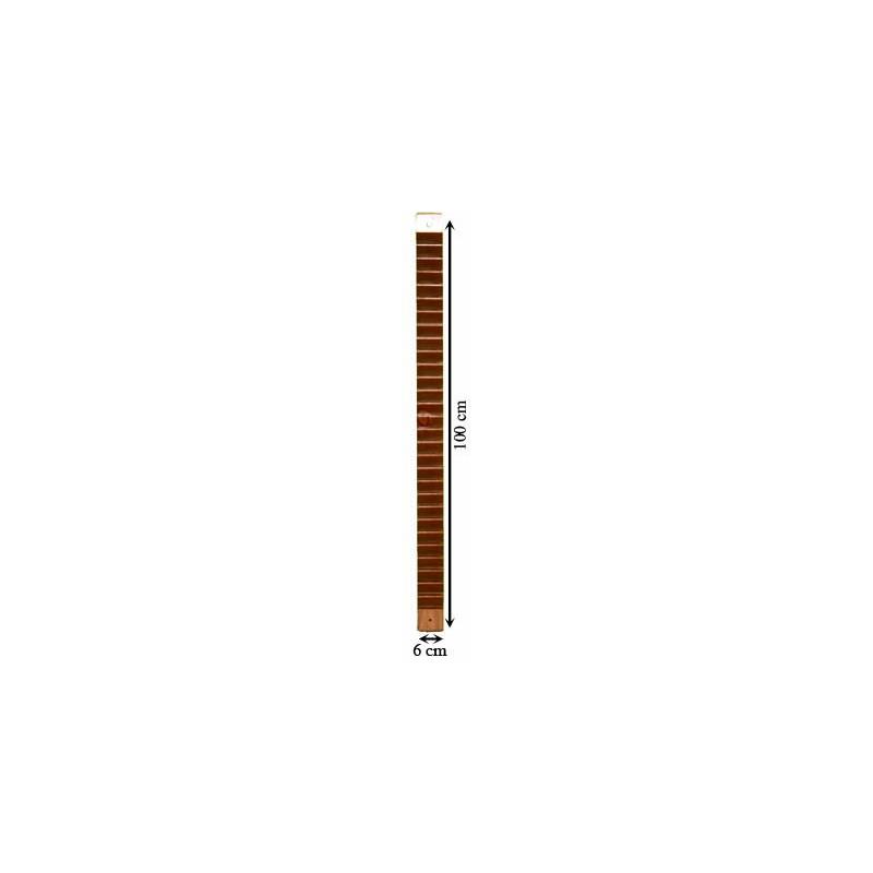 ESCALERILLA DE DEDOS DE RESINA CON 30 PELDAÑOS DE 3CMS.