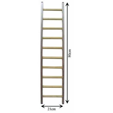 ESCALERILLA DE HOMBROS Y MANOS.