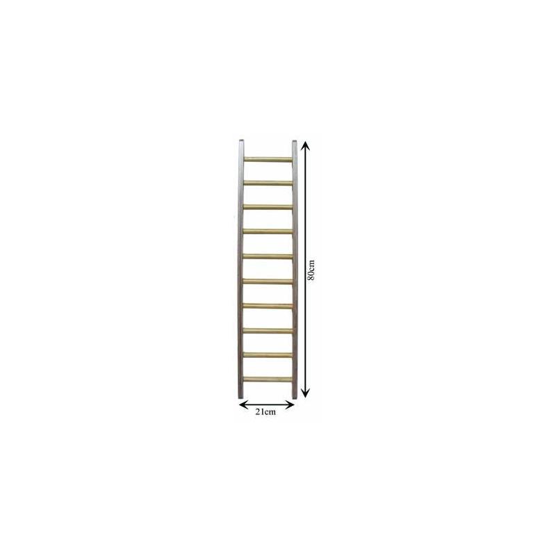 ESCALERILLA DE HOMBROS Y MANOS.
