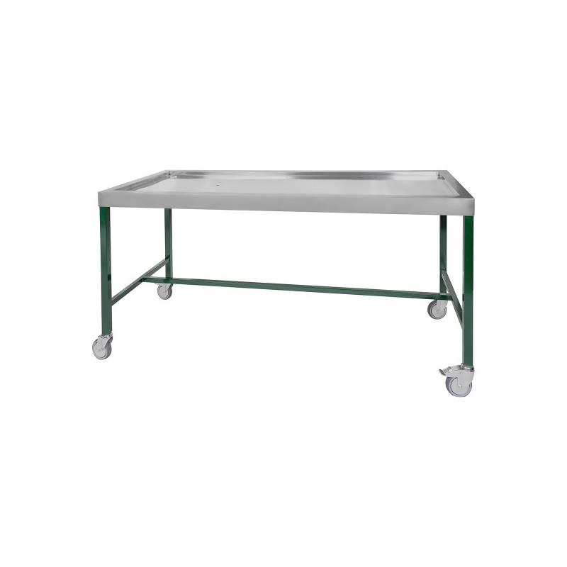 Mesa de necropsias epoxi