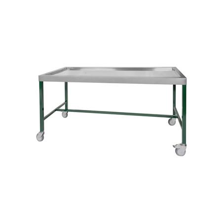 Mesa de necropsias epoxi