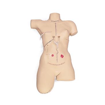 Simulador de vendajes torso femenino