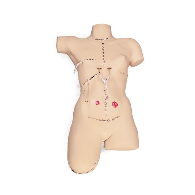 Simulador de vendajes torso femenino