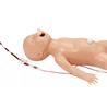 Torso maniquí con electrónica para reanimación cardiopulmonar