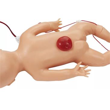 Torso maniquí con electrónica para reanimación cardiopulmonar