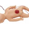 Torso maniquí con electrónica para reanimación cardiopulmonar