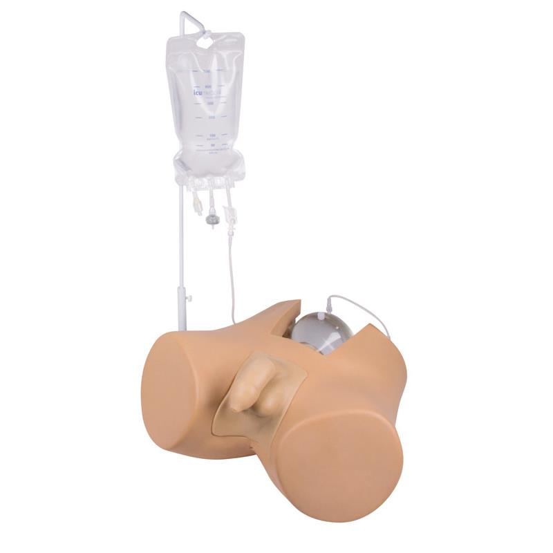 Simulador de cateterismo vesical Henri, hombre