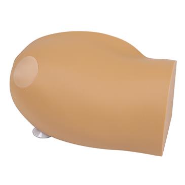 Entrenador de tareas intraóseas Amy Arm