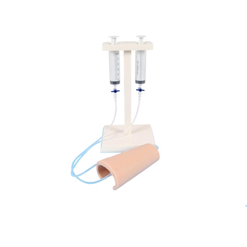 Entrenador intravenosa en el brazo
