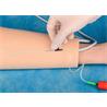 Entrenador intravenosa en el brazo