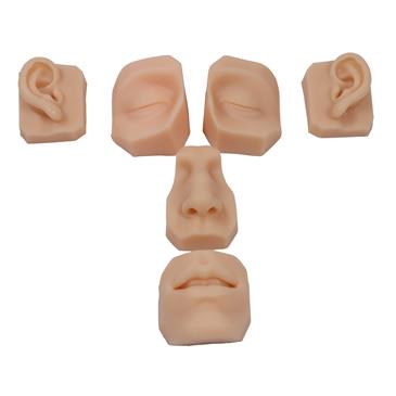 Piezas faciales para entrenamiento de sutura (6 piezas)
