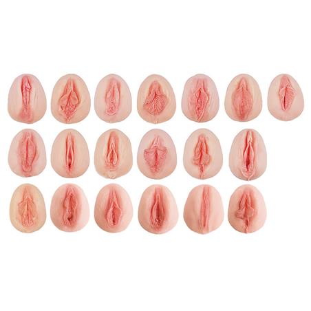 Moldes de vulva diferencias anatómicas Moldes de vulva diferencias anatómicas