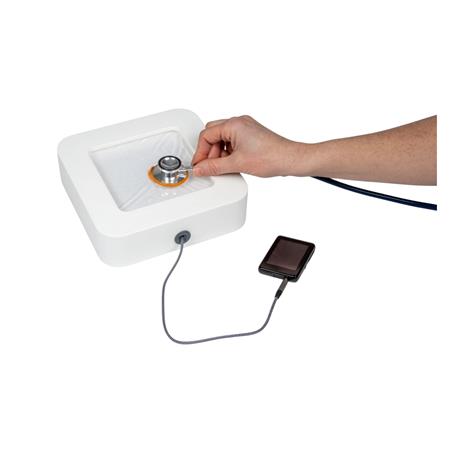 Entrenador de auscultación fisiológica Entrenador de auscultación fisiológica