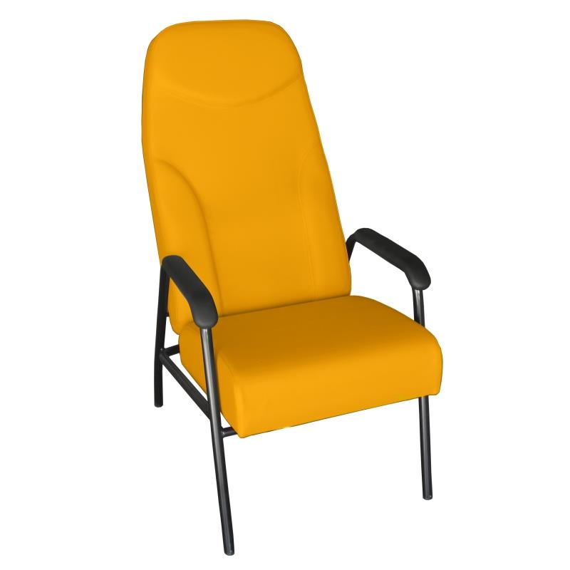 Sillón de acompañante
