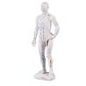Figura masculina de acupuntura china. Tamaño 26 cm