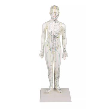 Figura femenina de acupuntura china. Tamaño 48 cm