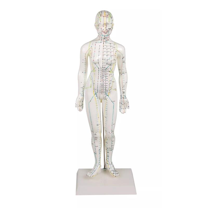 Figura femenina de acupuntura china. Tamaño 48 cm