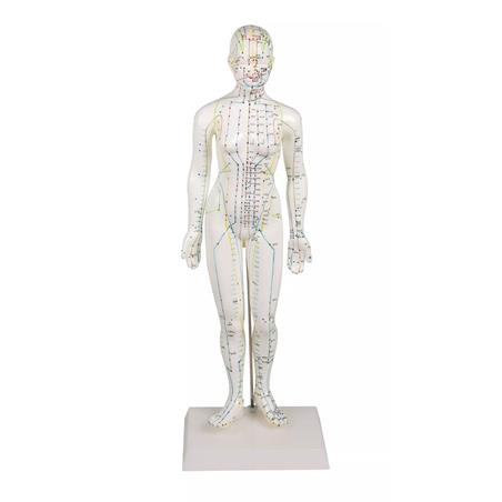 Figura femenina de acupuntura china. Tamaño 48 cm Figura femenina de acupuntura china. Tamaño 48 cm