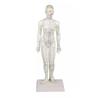 Figura femenina de acupuntura china. Tamaño 48 cm