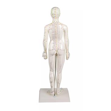 Figura femenina de acupuntura china. Tamaño 48 cm
