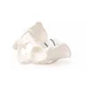 Pelvis masculina con sacro y 2 vértebras lumbares