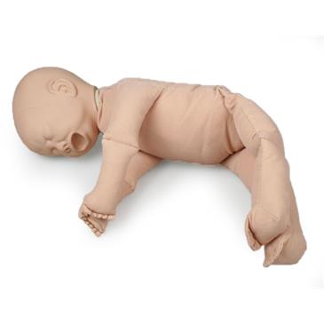 Pelvis femenina y muñeco feto con placenta