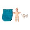 Pelvis femenina y muñeco feto en miniatura