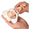 Pelvis femenina y muñeco feto en miniatura