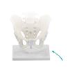Soporte de mesa para columna vertebral