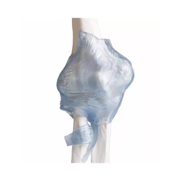 Articulación del codo con ligamentos