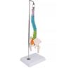 Columna vertebral flexible didáctica en miniatura