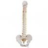 Columna flexible - versión clasica