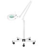 Lámpara lupa LED con intensidad de luz regulable. Base 5 ruedas