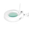 Lámpara lupa LED con intensidad de luz regulable. Base 5 ruedas