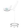Lámpara lupa 60 diodos LED con intesidad de luz regulable. Base redonda