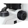 Microscopio biológico LED - 40x a 1600x