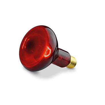 Bombilla infrarrojos para lampara REA21578 IL-11 BEURER