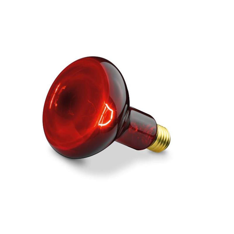 Bombilla infrarrojos para lampara REA21578 IL-11 BEURER