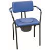 Silla con inodoro