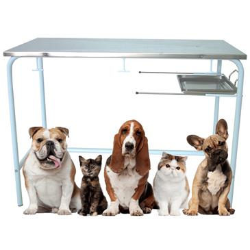 Mesa de exploración veterinaria