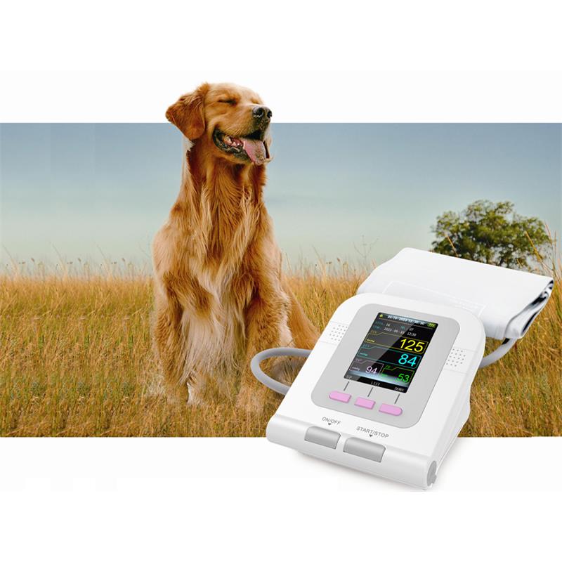 Tensiómetro digital veterinario