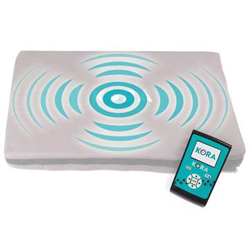 Magnetoterapia veterinaria