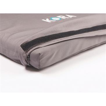 Magnetoterapia veterinaria