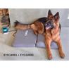 Colchón veterinario de repuesto para magnetoterapia veterinaria EYD24981