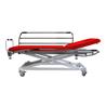 Camilla electrica 2 cuerpos con barandillas,62cm ancho