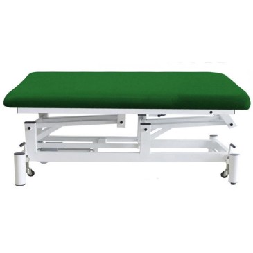 Camilla bobath electrica...