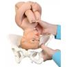 Simulador de parto modelo DELUXE