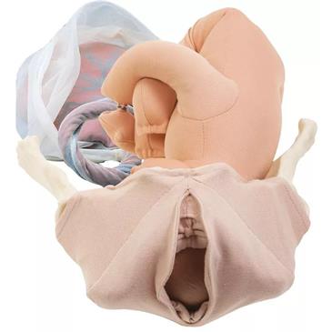 Simulador de parto modelo DELUXE