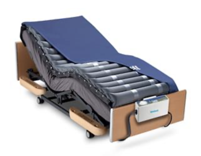 Cama antiescara azul grande